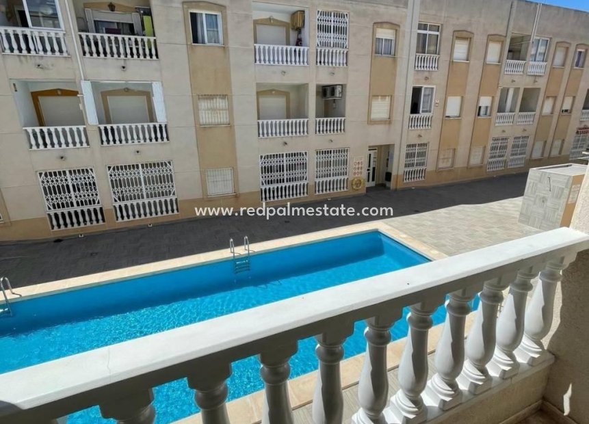 Revente - Appartement -
Torrevieja