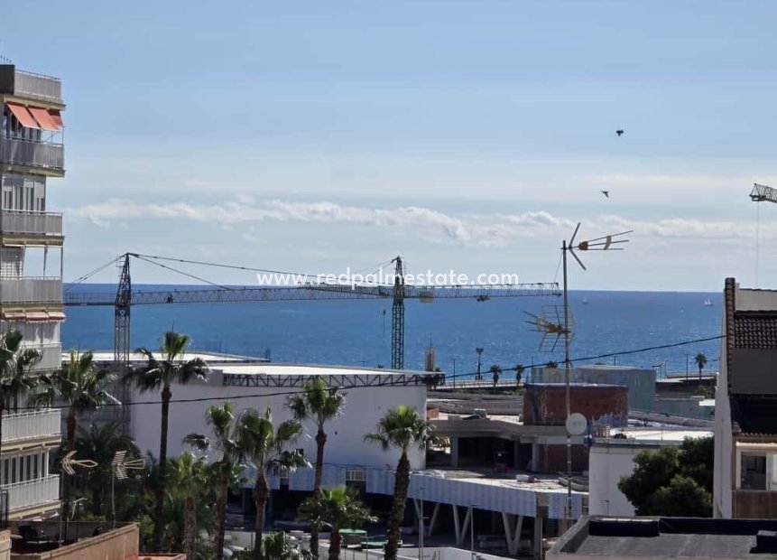 Revente - Appartement -
Torrevieja
