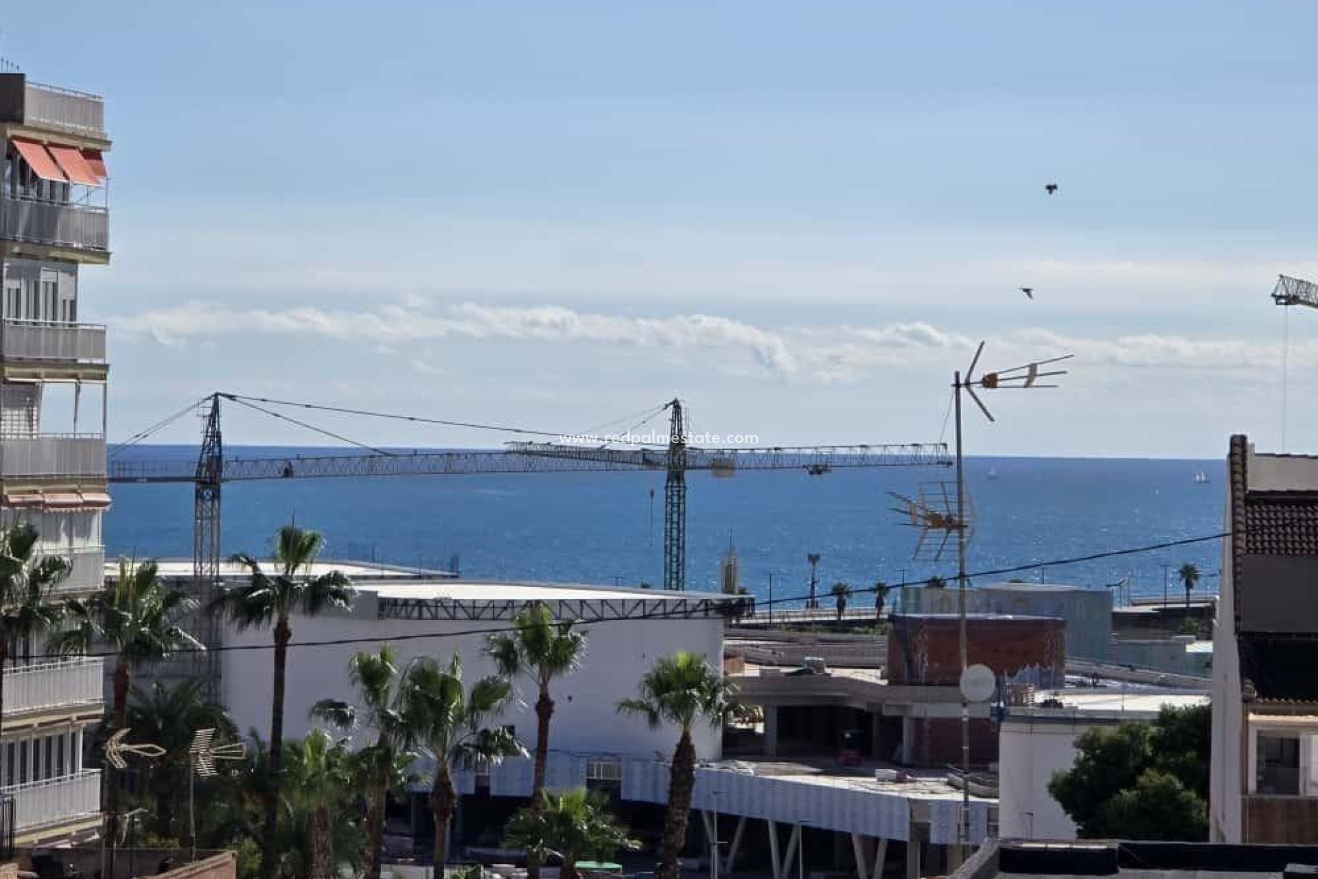 Revente - Appartement -
Torrevieja