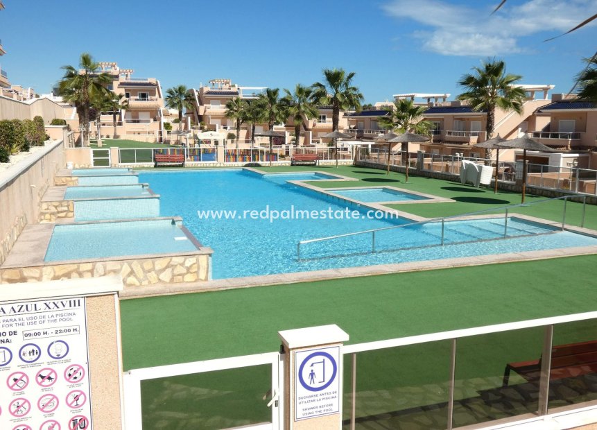 Revente - Appartement -
Torrevieja