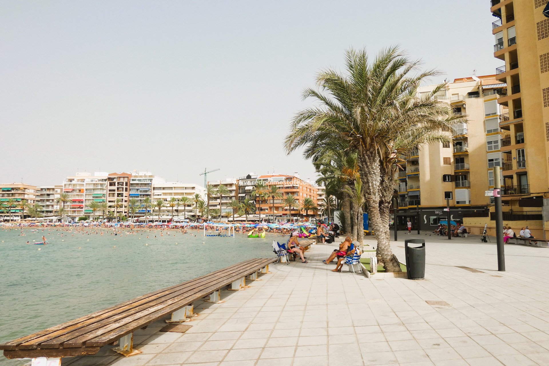 Revente - Appartement -
Torrevieja