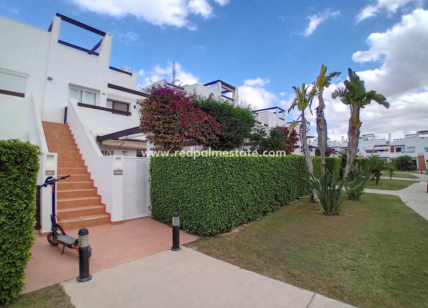 Revente - Appartements -
Alhama De Murcia - Condado De Alhama