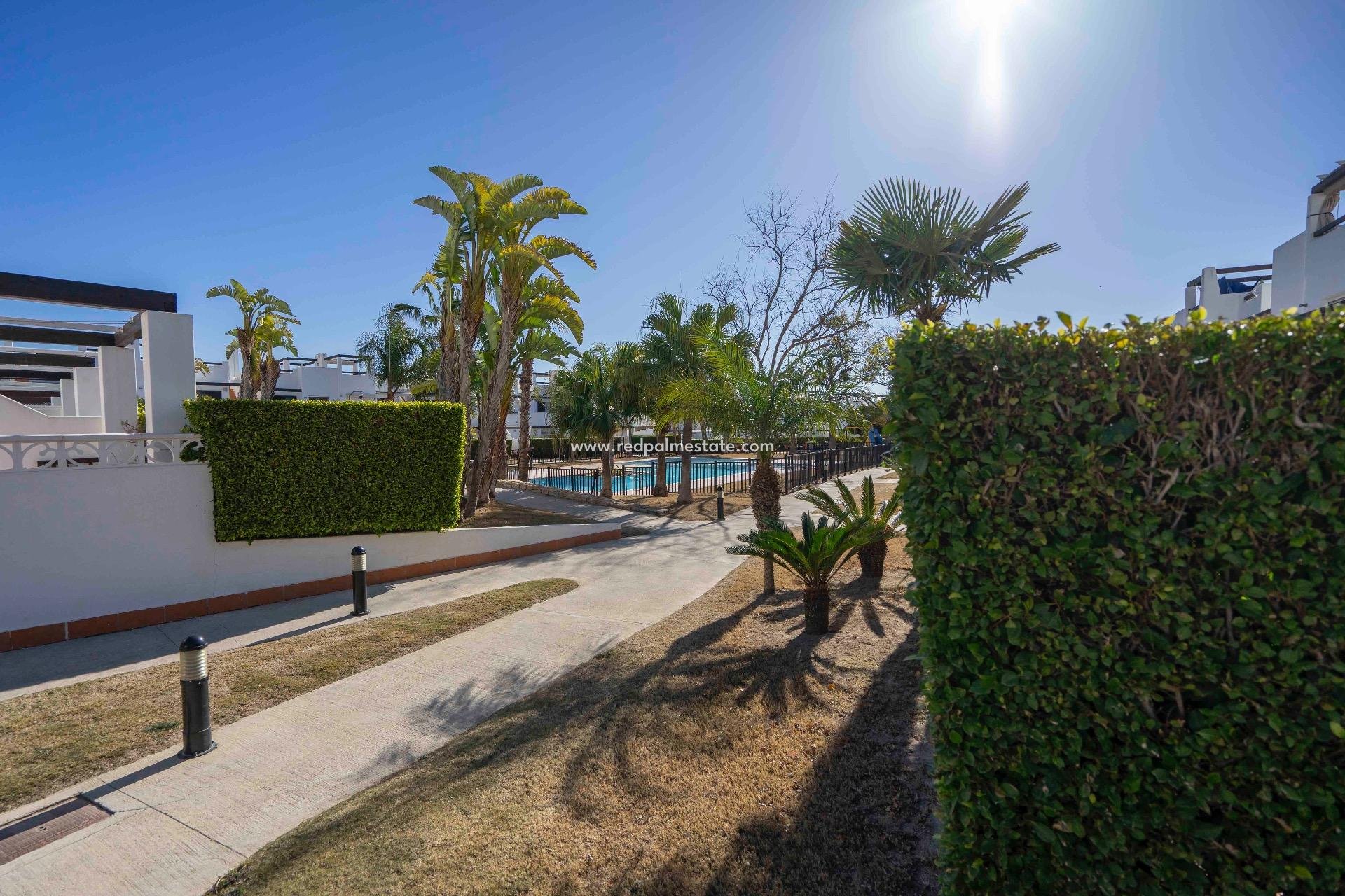 Revente - Appartements -
Alhama De Murcia - Condado De Alhama