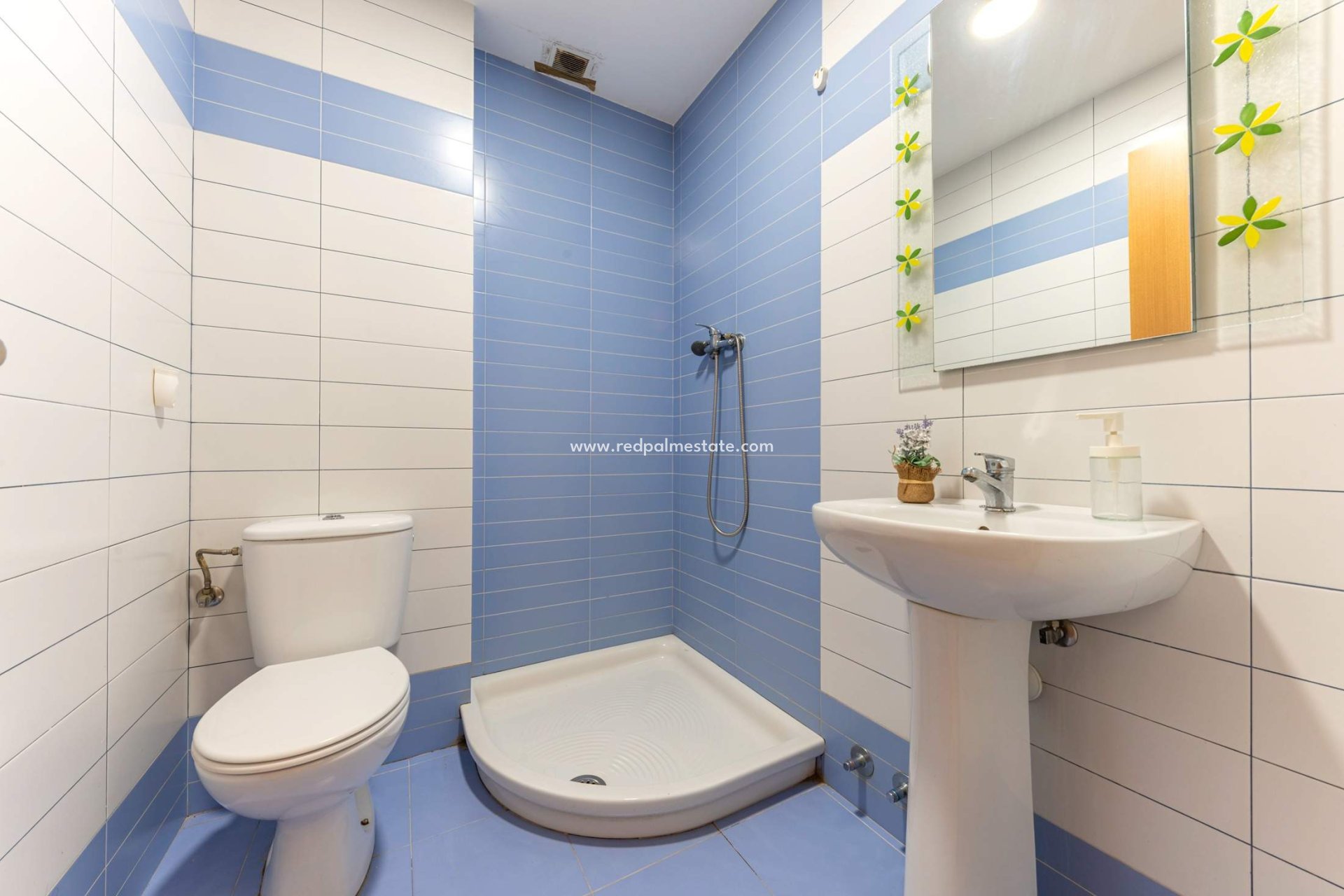 Revente - Appartements -
Alicante - Carolinas Bajas