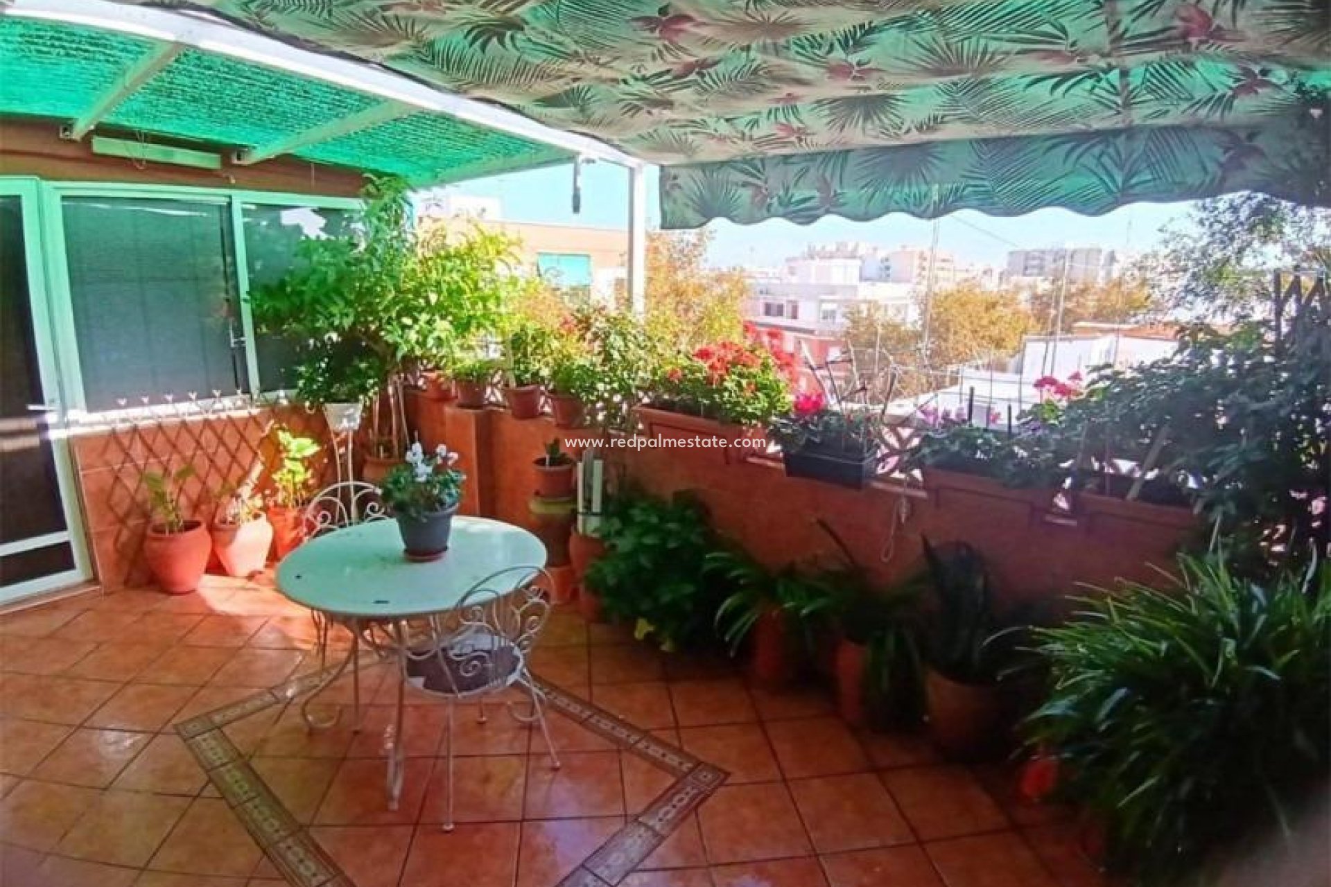 Revente - Appartements -
Alicante - La Florida