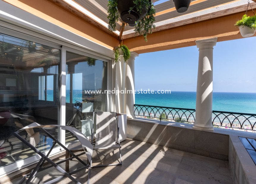 Revente - Appartements -
Alicante