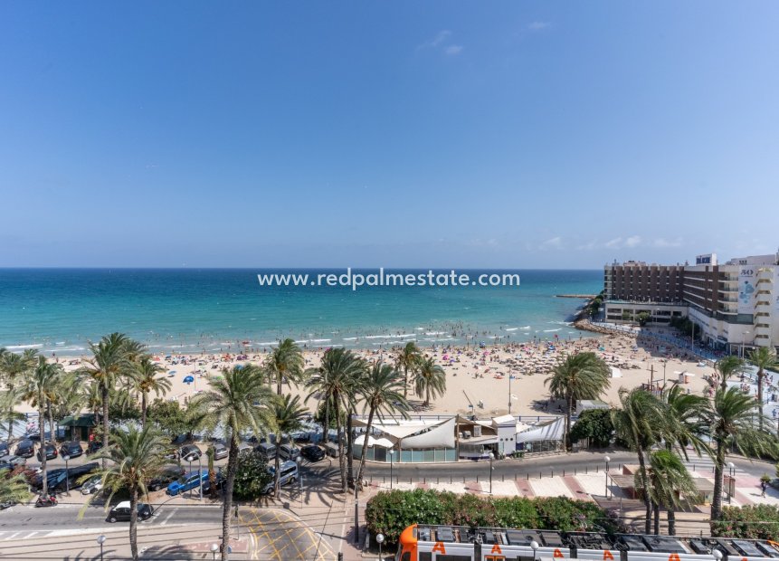 Revente - Appartements -
Alicante