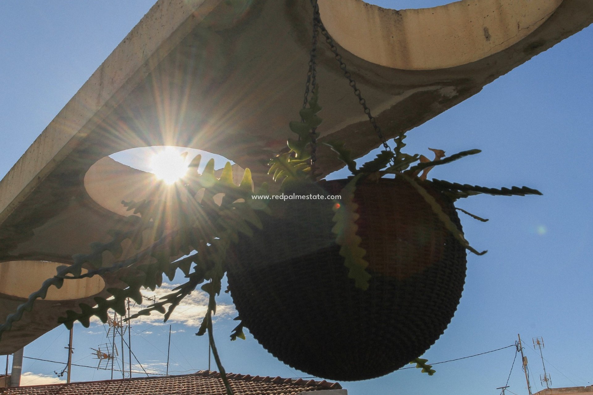 Revente - Appartements -
Alicante