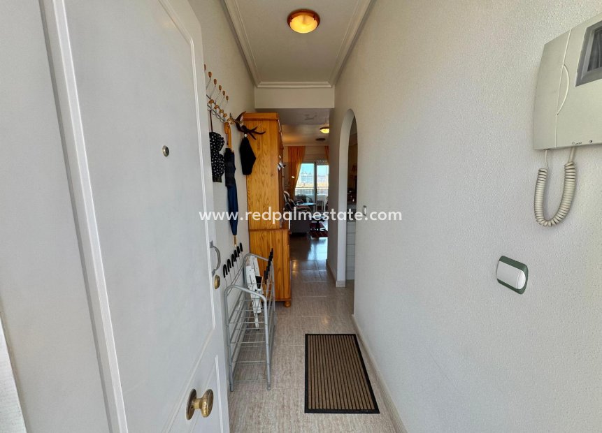 Revente - Appartements -
Almoradí