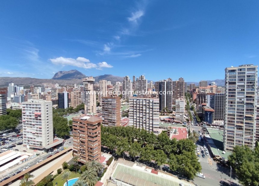 Revente - Appartements -
Benidorm - Costa Blanca