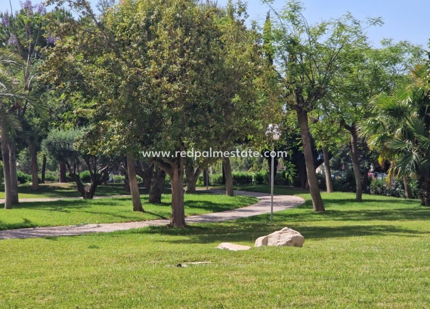 Revente - Appartements -
Benidorm - Costa Blanca