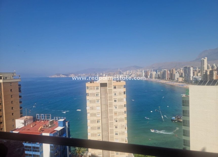 Revente - Appartements -
Benidorm - Costa Blanca