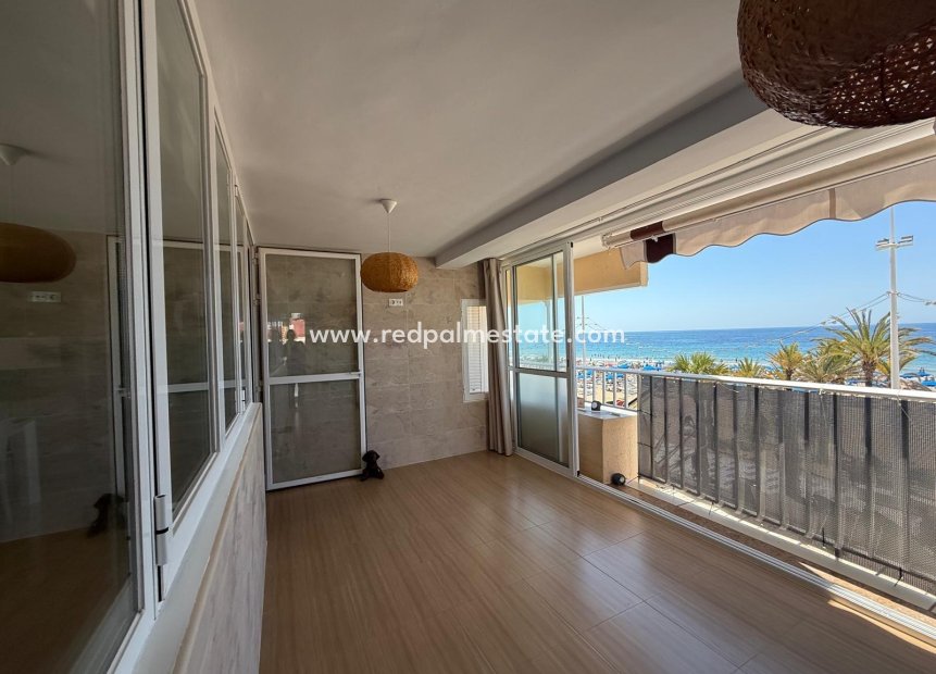 Revente - Appartements -
Benidorm - Costa Blanca