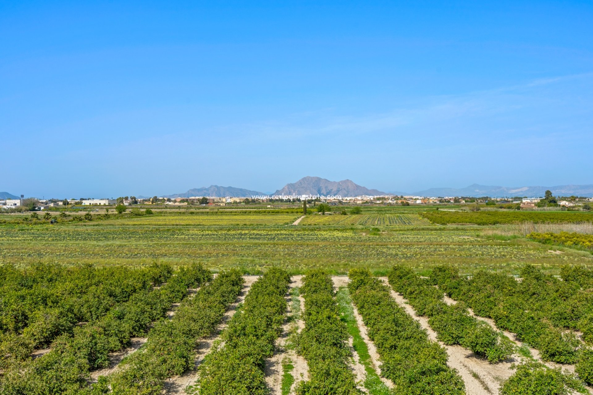 Revente - Appartements -
Daya Nueva - Costa Blanca