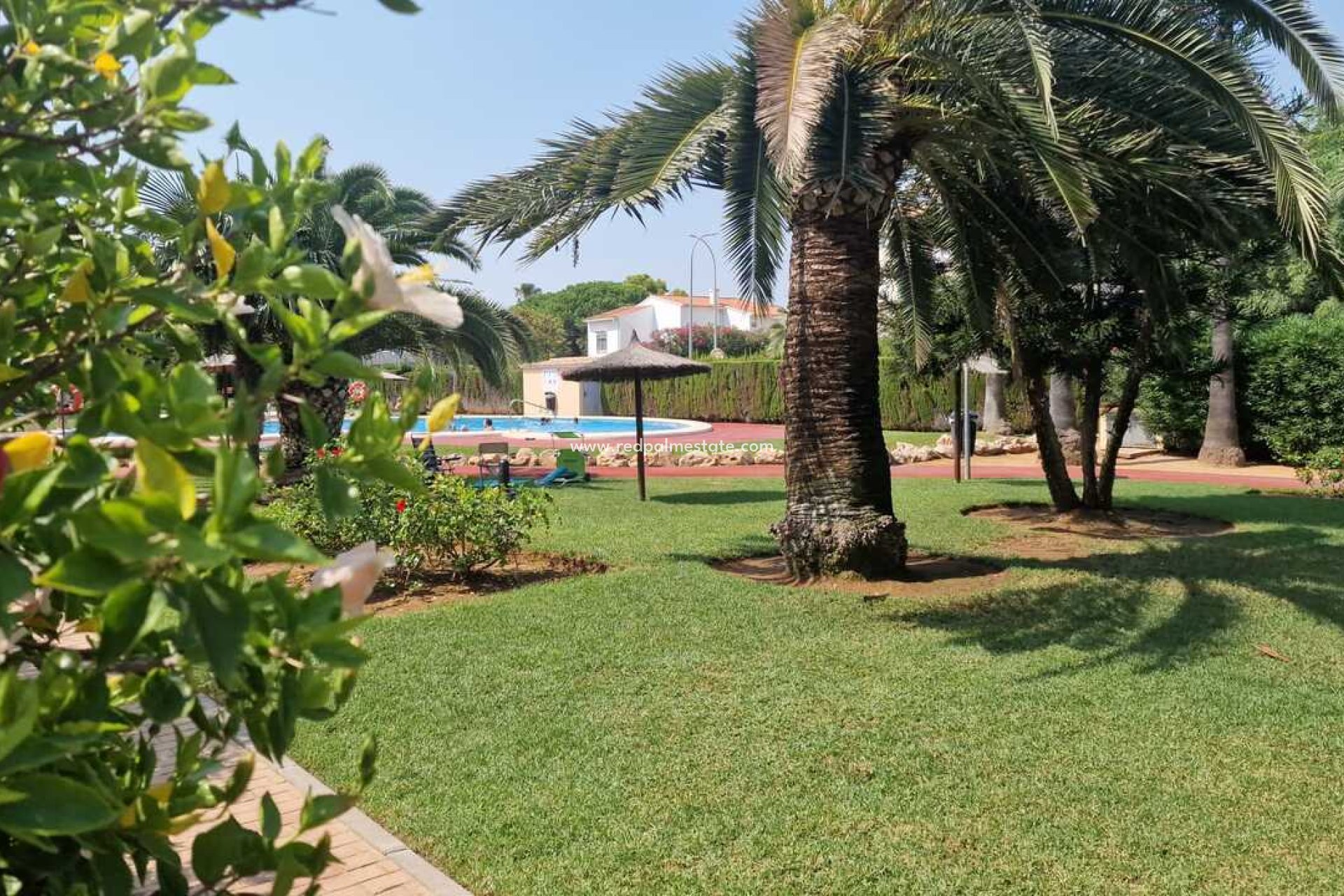 Revente - Appartements -
Denia