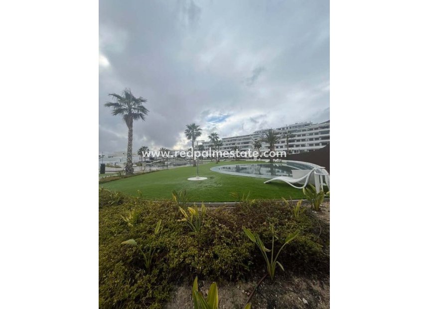 Revente - Appartements -
Finestrat