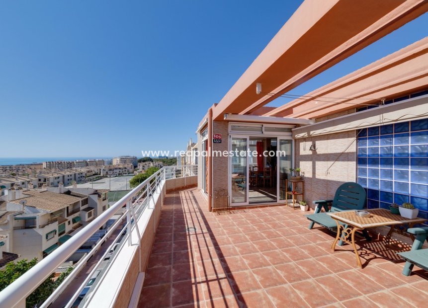 Revente - Appartements -
Guardamar del Segura - Costa Blanca