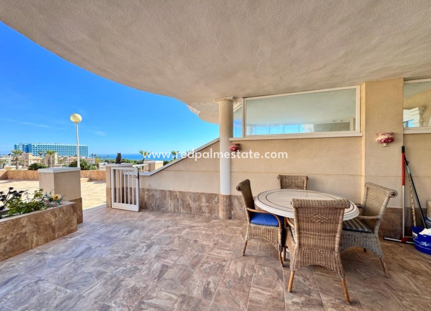 Revente - Appartements -
Guardamar del Segura - Costa Blanca