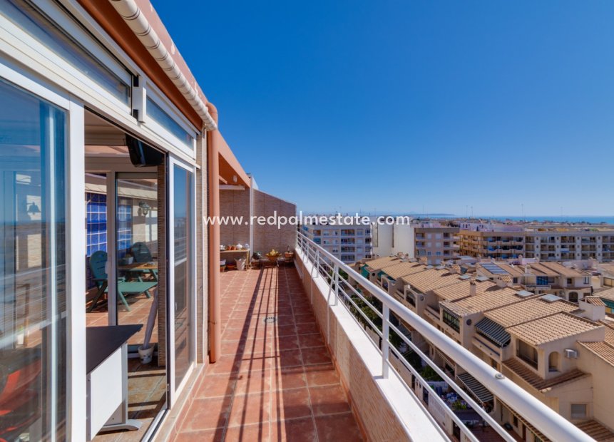 Revente - Appartements -
Guardamar del Segura - Costa Blanca