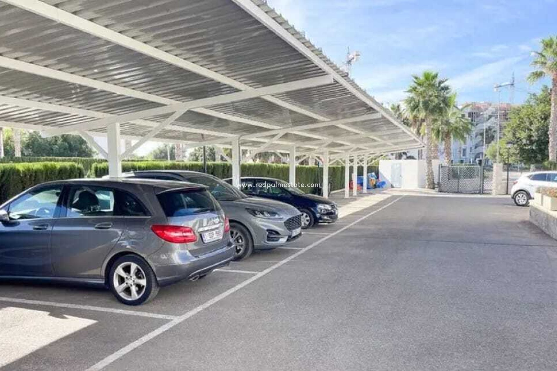 Revente - Appartements -
Guardamar del Segura - Costa Blanca