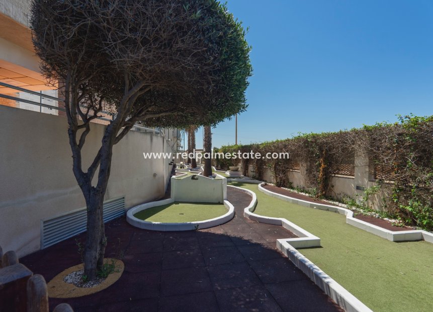 Revente - Appartements -
Guardamar del Segura - Guardamar