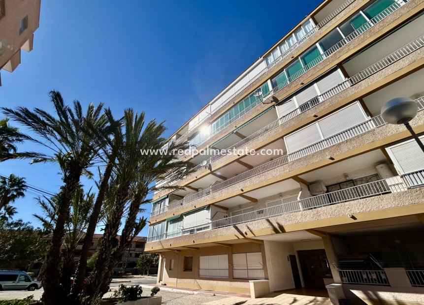 Revente - Appartements -
Guardamar del Segura - Guardamar