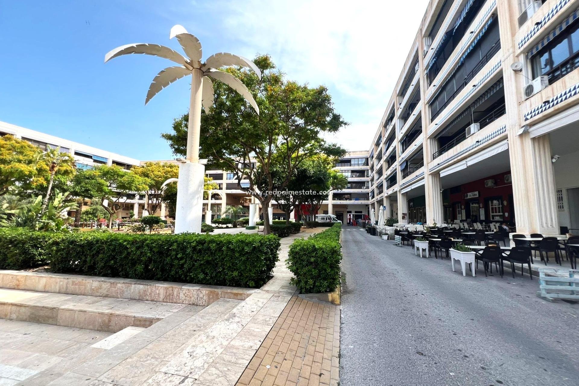 Revente - Appartements -
Guardamar del Segura - Pueblo