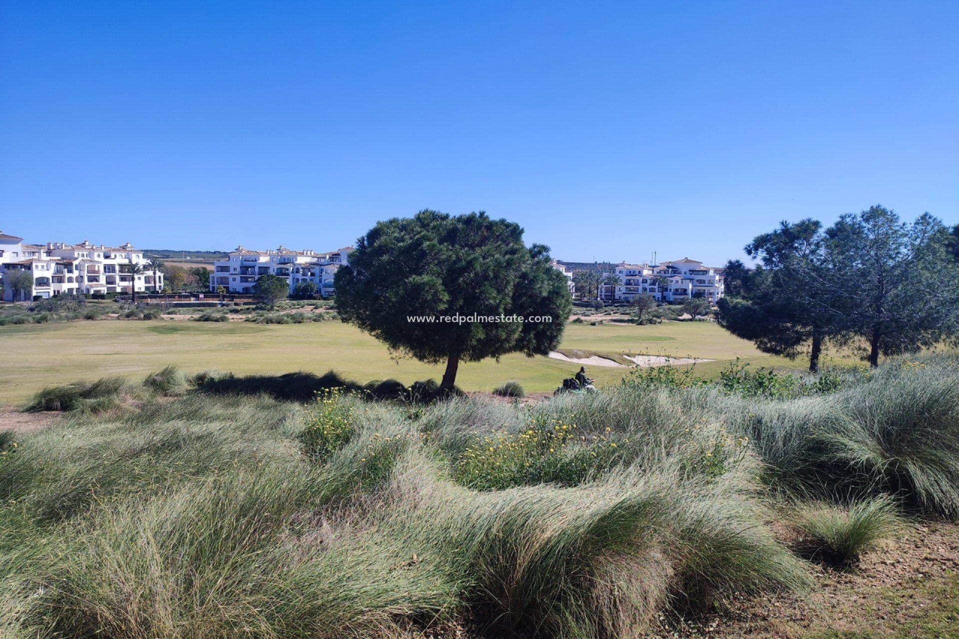 Revente - Appartements -
Hacienda Riquelme Golf Resort - Inland