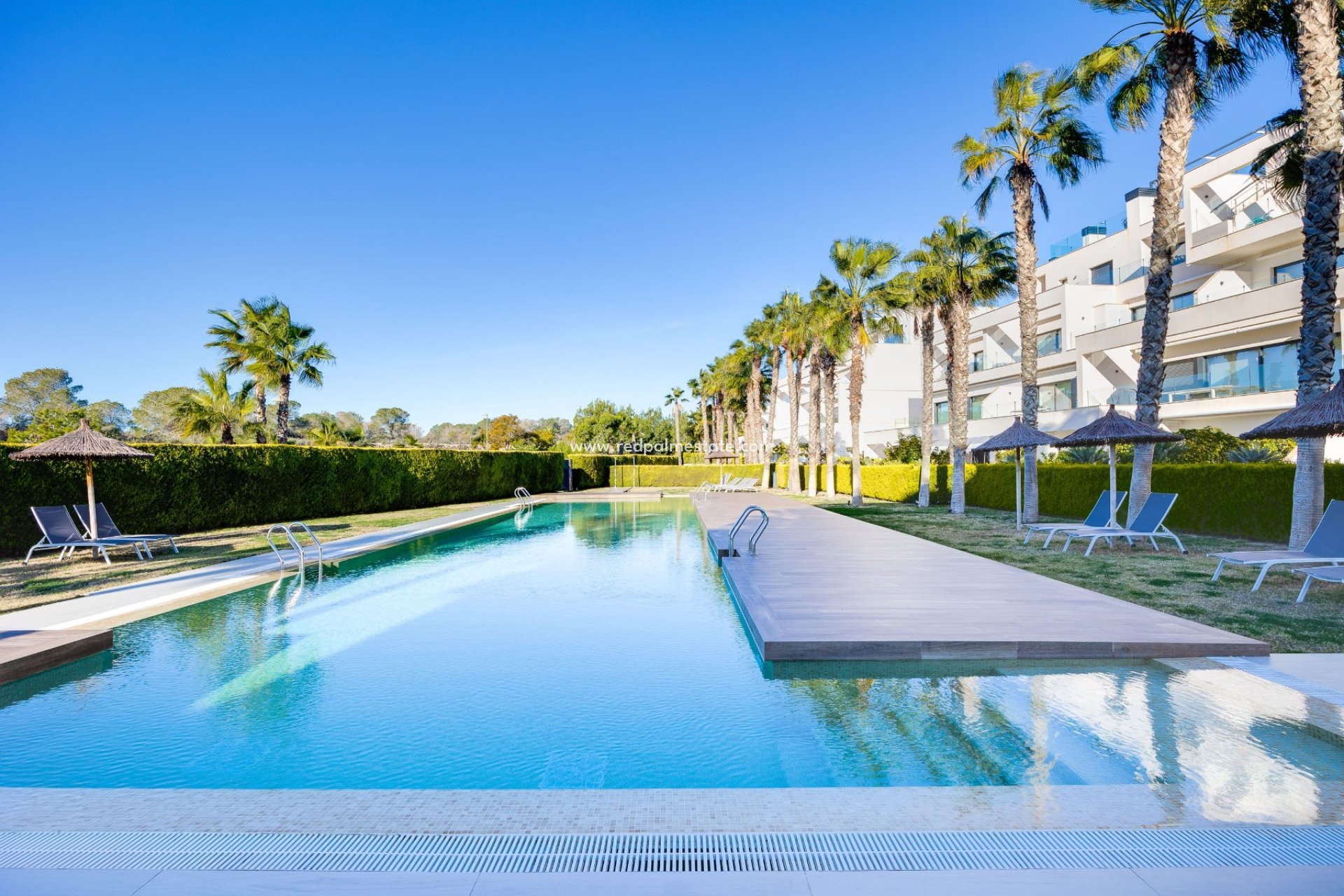 Revente - Appartements -
Las Colinas Golf