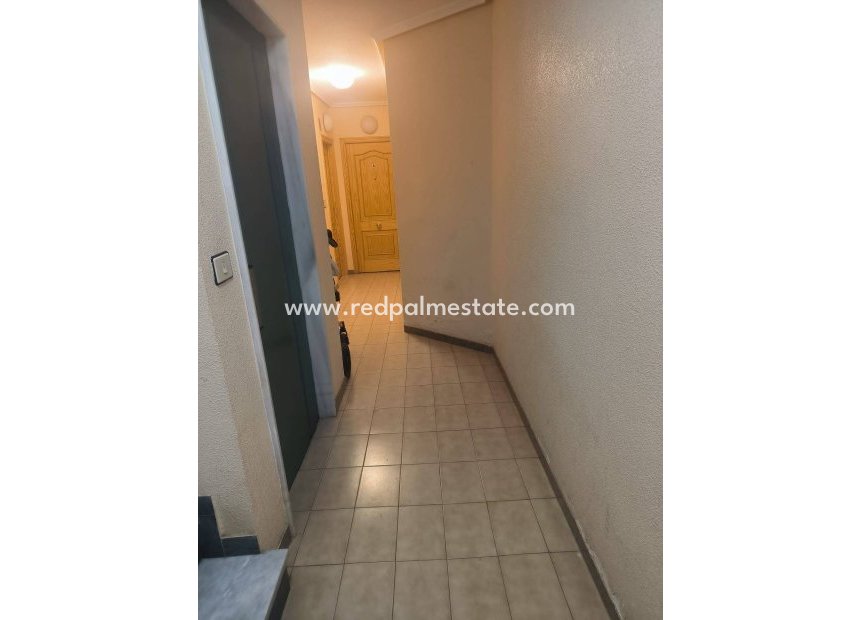 Revente - Appartements -
Lo Pagan - La Puntica