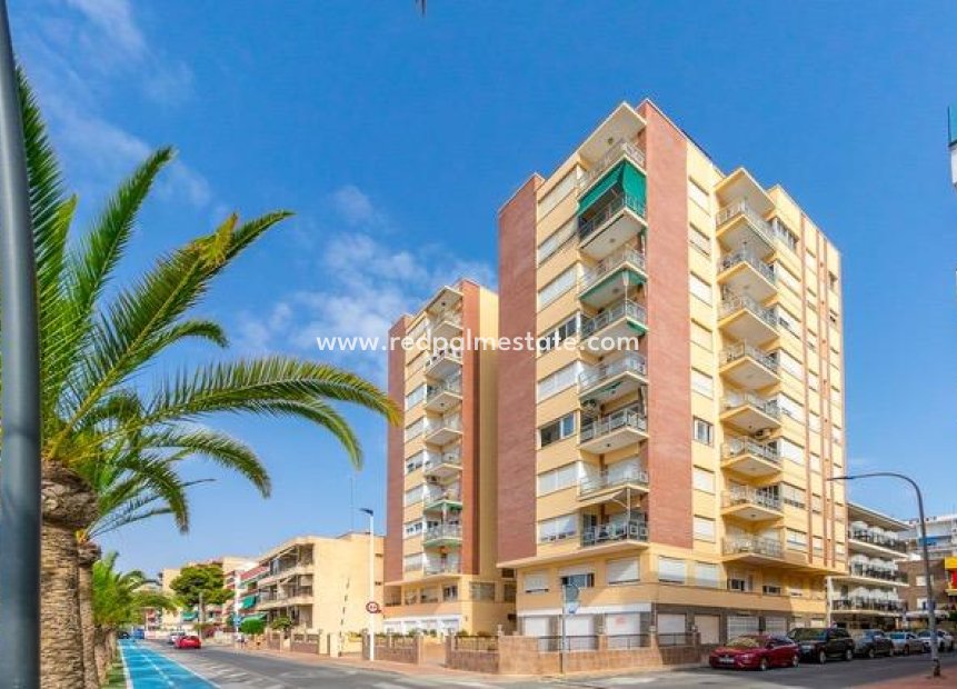 Revente - Appartements -
Lo Pagan - Villananitos