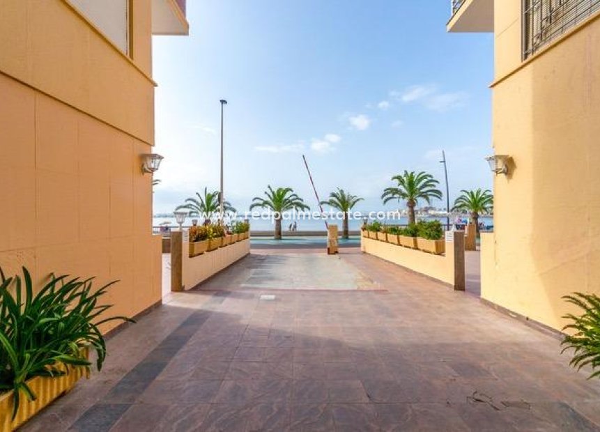 Revente - Appartements -
Lo Pagan - Villananitos