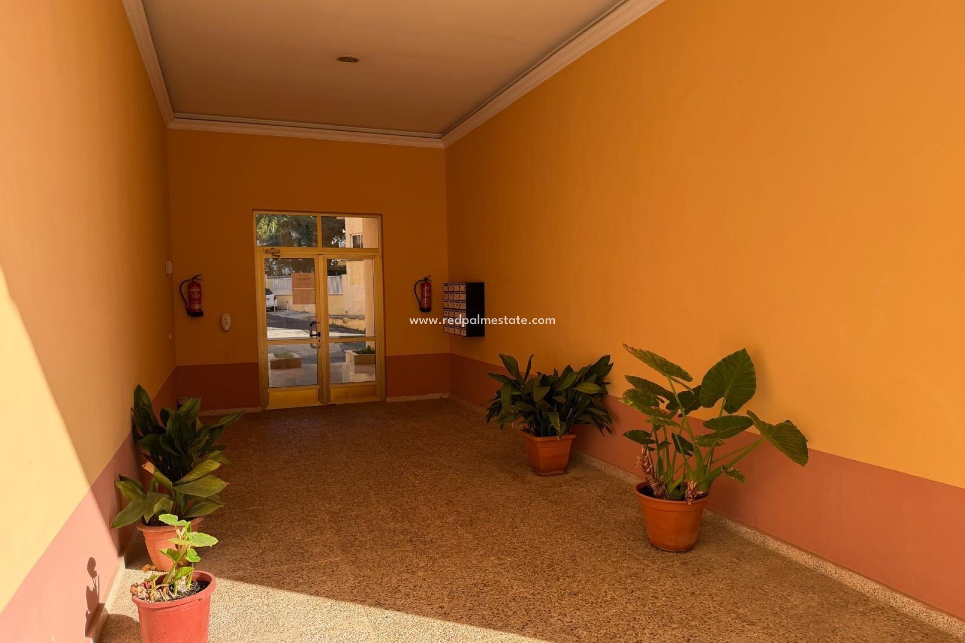 Revente - Appartements -
Lo Pagan - Villananitos