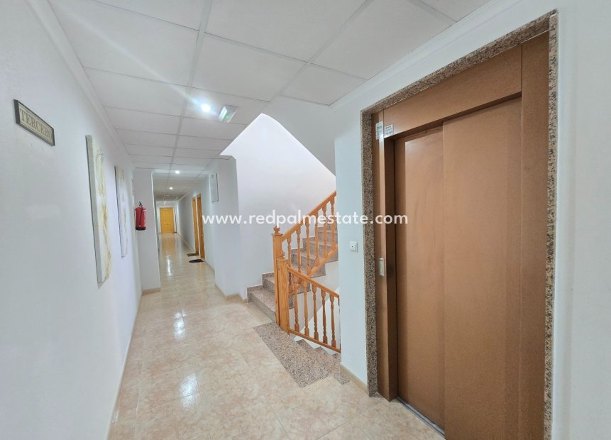 Revente - Appartements -
Los Montesinos *