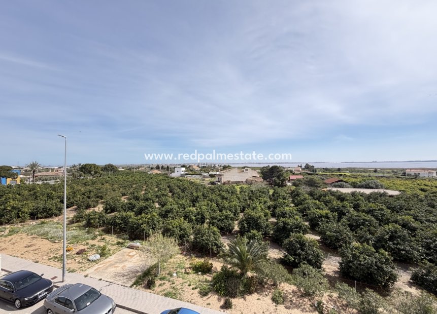 Revente - Appartements -
Montesinos - Los Montesinos