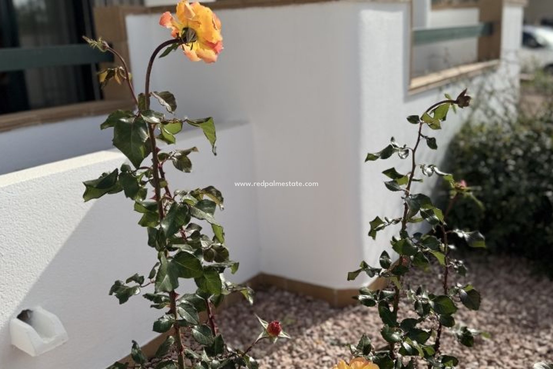 Revente - Appartements -
Orihuela Costa - Costa Blanca