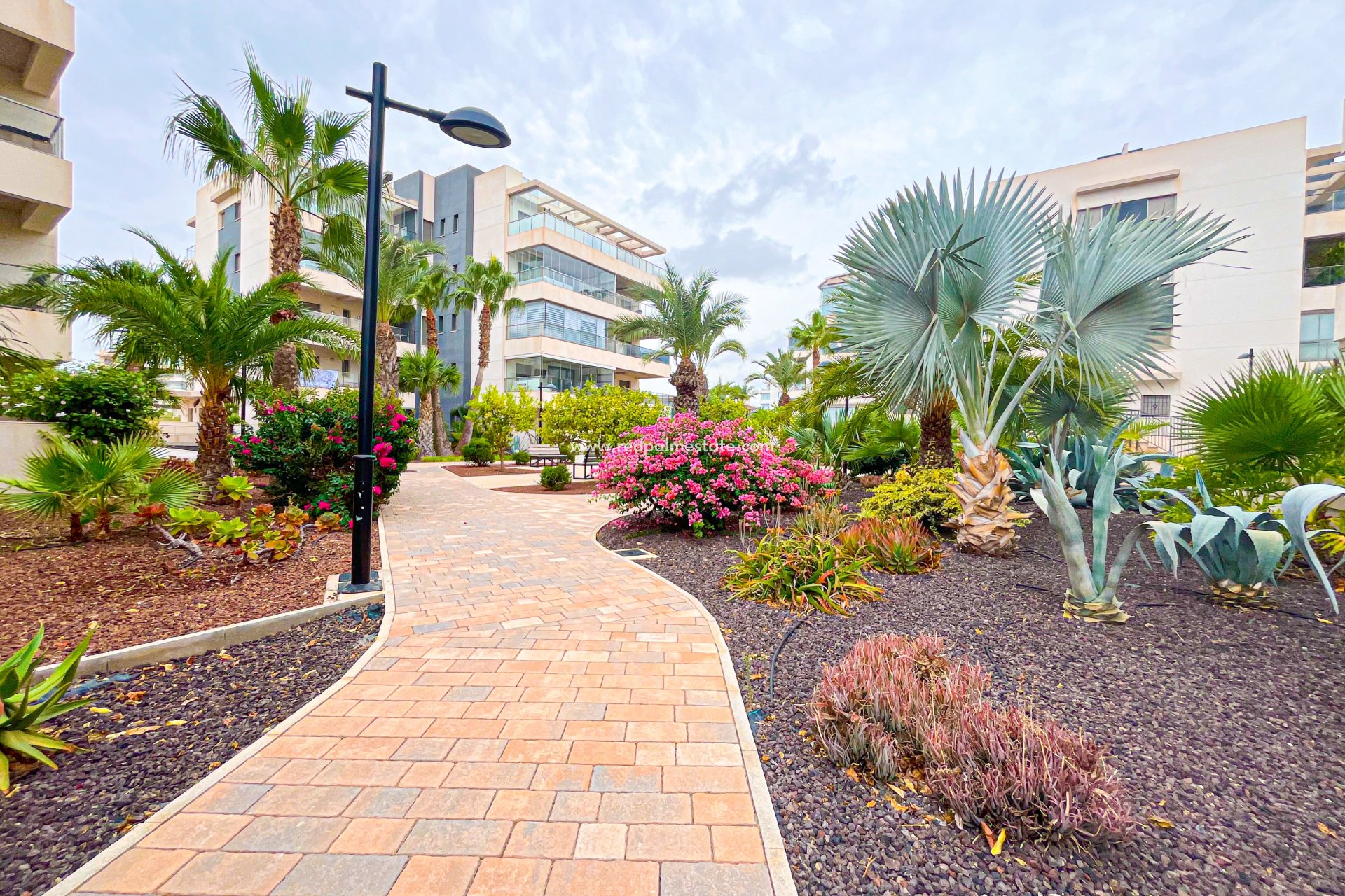 Revente - Appartements -
Orihuela Costa - Costa Blanca