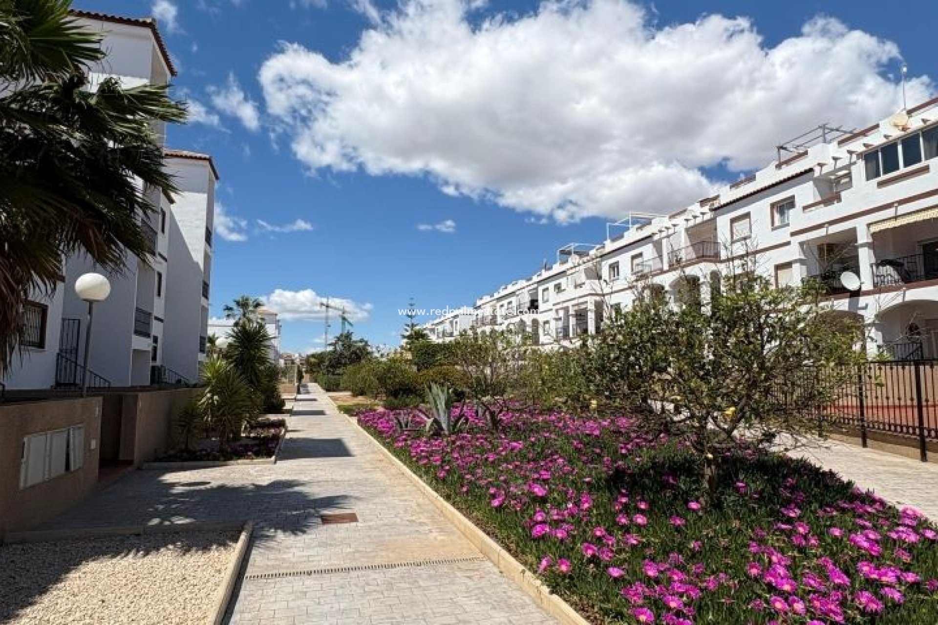 Revente - Appartements -
Orihuela Costa - Costa Blanca