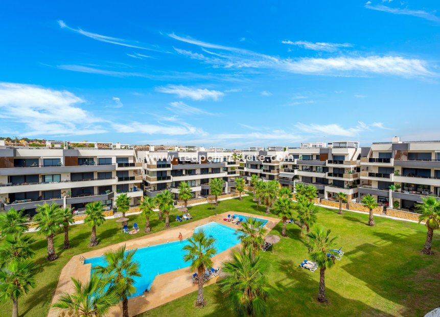 Revente - Appartements -
Orihuela Costa - Costa Blanca