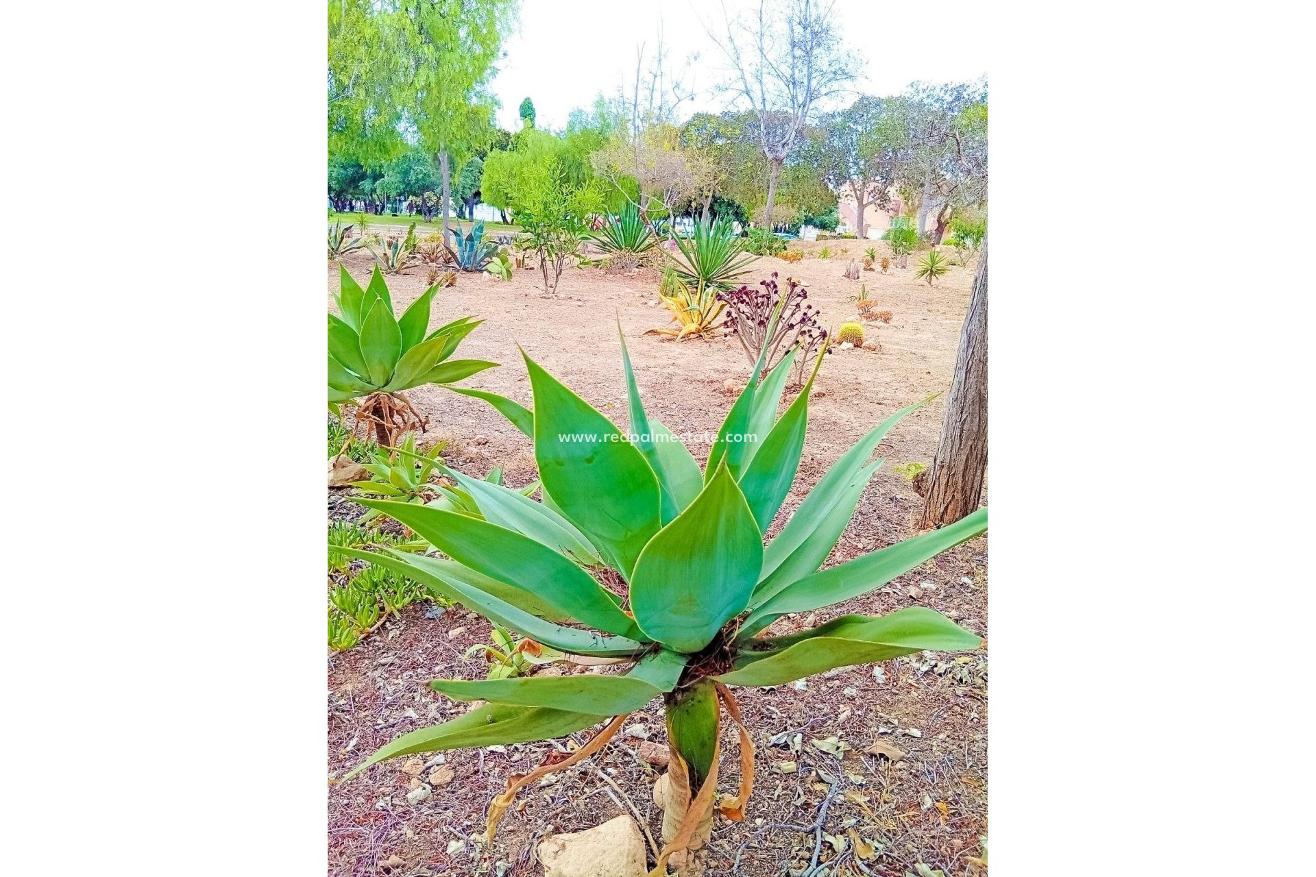 Revente - Appartements -
Orihuela Costa - La Florida