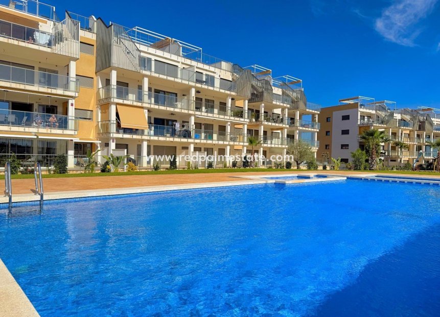 Revente - Appartements -
Orihuela Costa - La Zenia