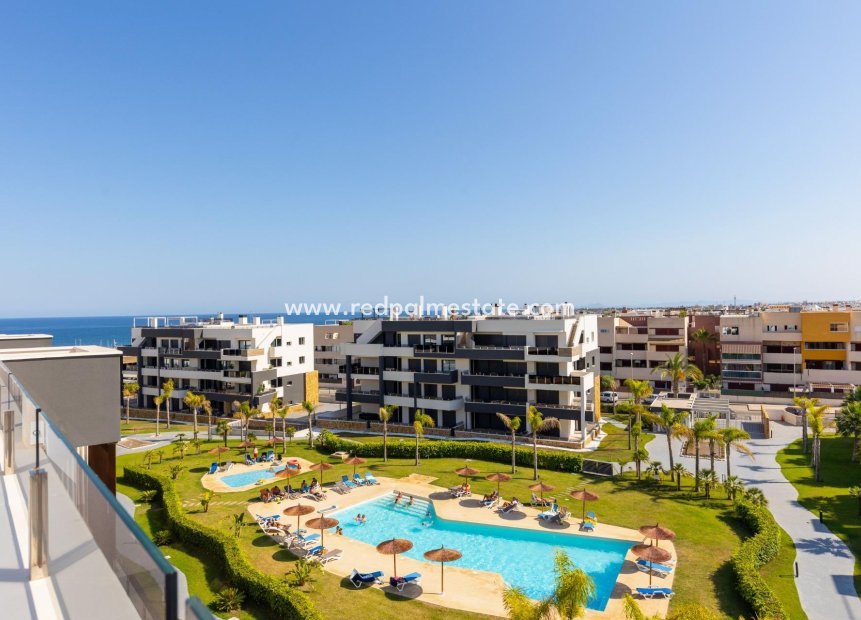 Revente - Appartements -
Orihuela Costa - Playa Flamenca