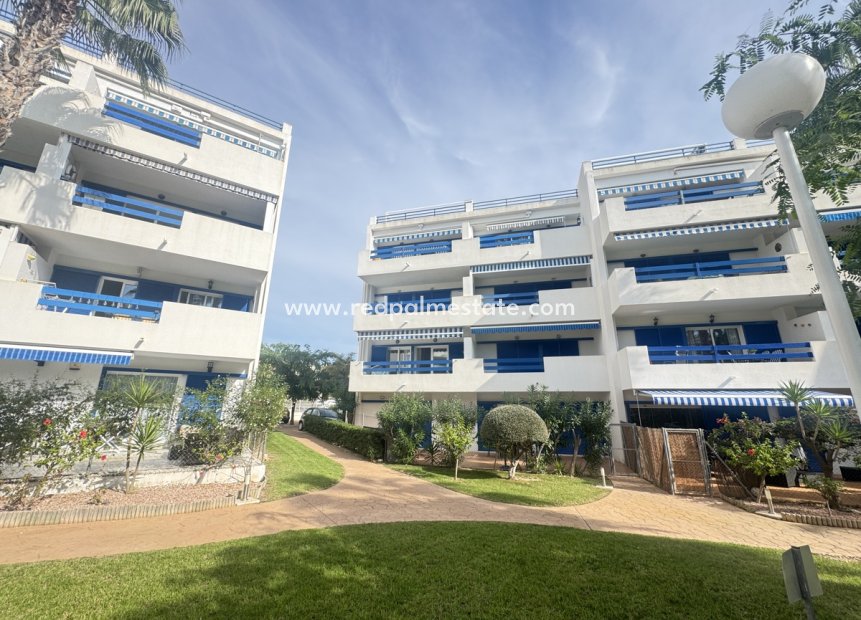 Revente - Appartements -
Orihuela Costa - Playa Flamenca