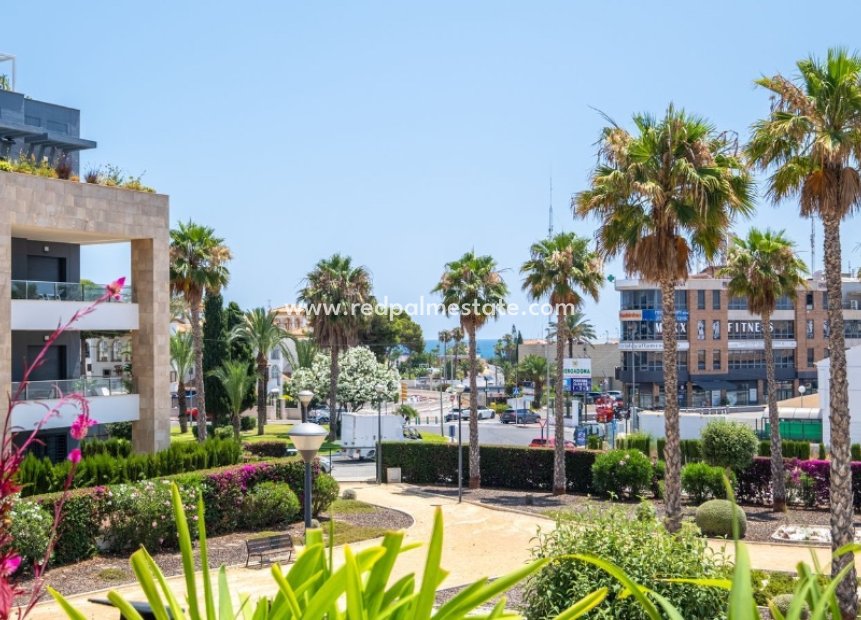 Revente - Appartements -
Orihuela Costa - Playa Flamenca