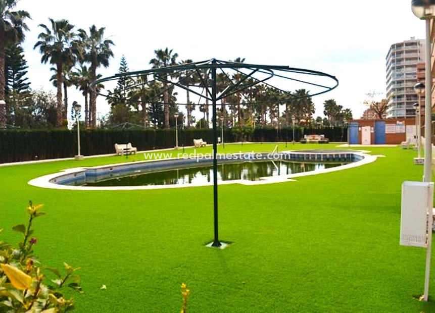 Revente - Appartements -
Oropesa Del Mar - Oropesa del Mar