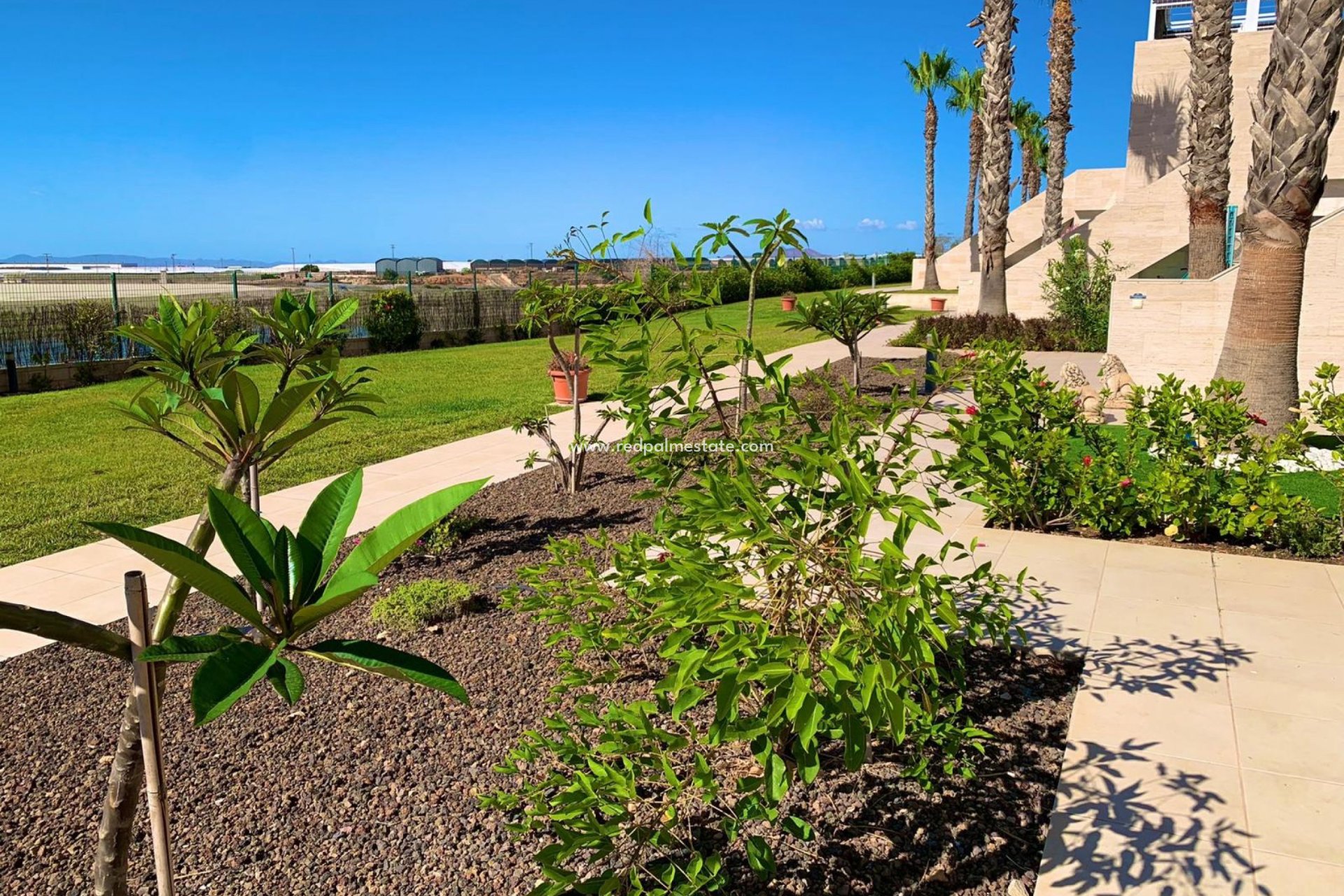 Revente - Appartements -
Pilar de la Horadada - Costa Blanca