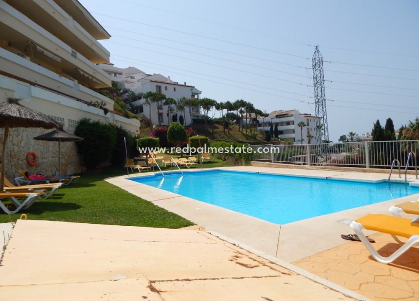 Revente - Appartements -
Riviera del Sol