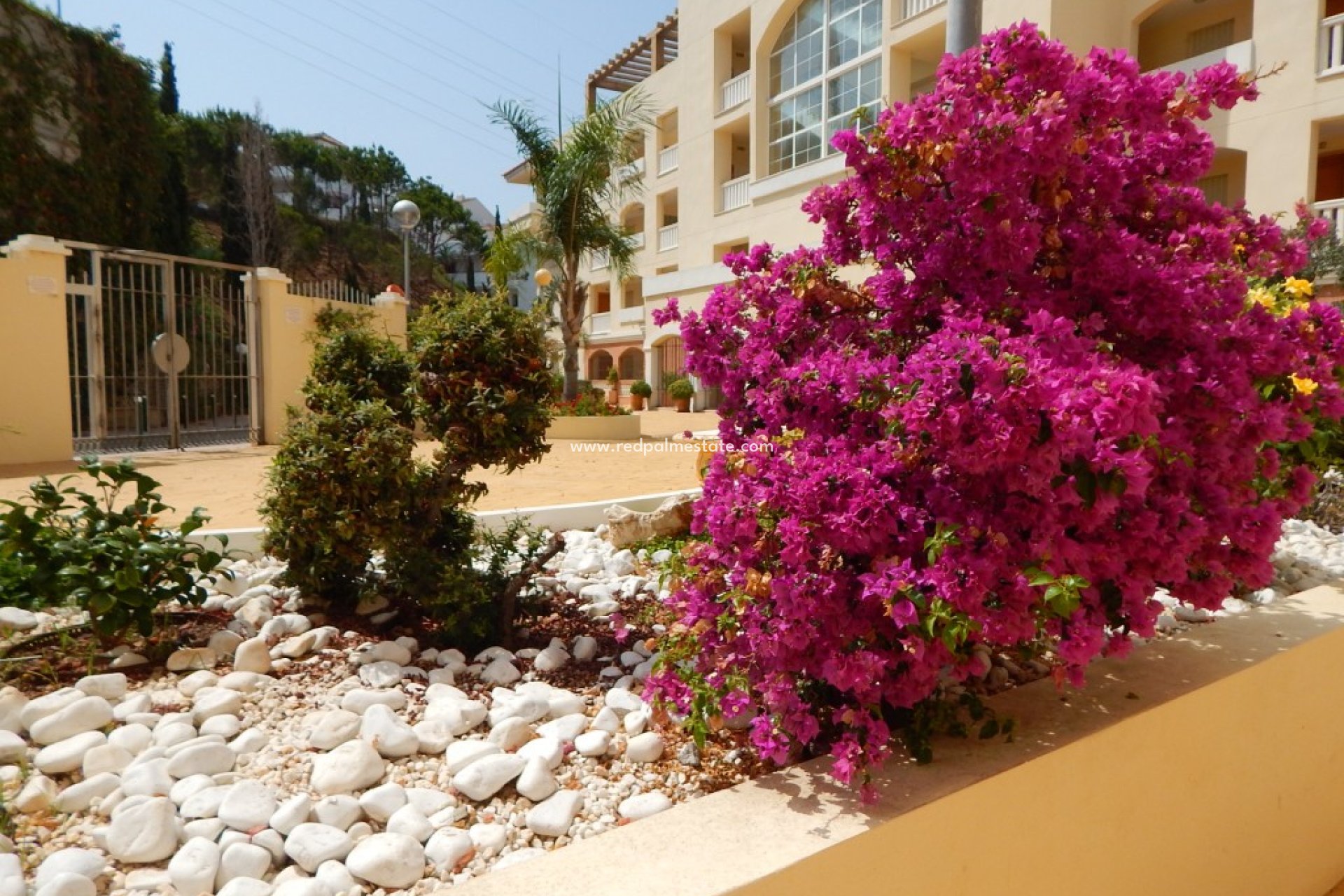 Revente - Appartements -
Riviera del Sol