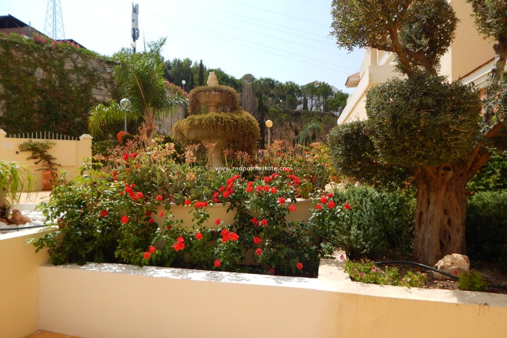 Revente - Appartements -
Riviera del Sol