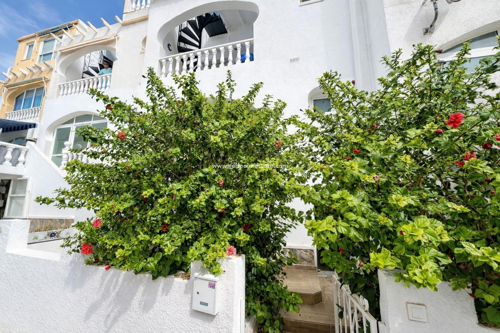 Revente - Appartements -
San Miguel de Salinas - Las filipinas